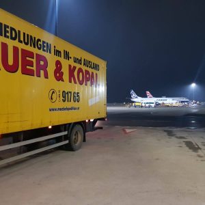 Internationale Umzüge